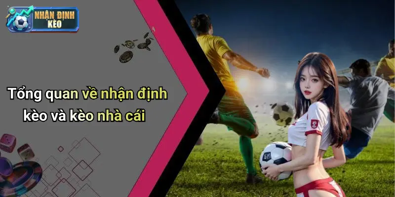 Tổng quan về nhận định kèo và kèo nhà cái